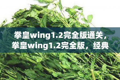 拳皇wing1.2完全版通关,拳皇wing1.2完全版,经典格斗游戏的全新升级 拳皇wing1.2完全版通关,拳皇wing1.2完全版,经典格斗游戏的全新升级