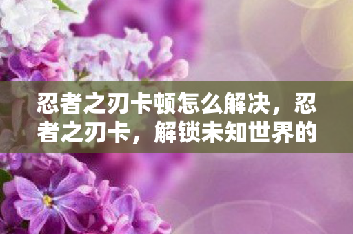 忍者之刃卡顿怎么解决，忍者之刃卡，解锁未知世界的神秘钥匙