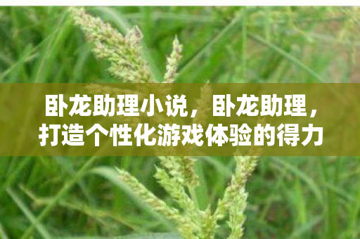 卧龙助理小说，卧龙助理，打造个性化游戏体验的得力助手