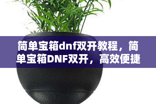 简单宝箱dnf双开教程，简单宝箱DNF双开，高效便捷的游戏体验