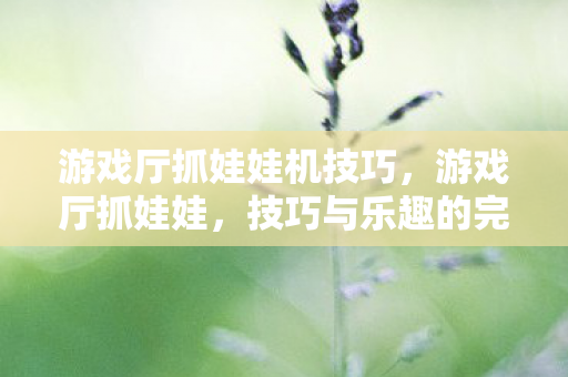 游戏厅抓娃娃机技巧，游戏厅抓娃娃，技巧与乐趣的完美结合