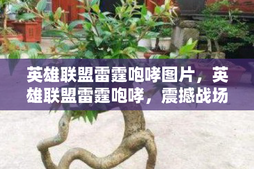 英雄联盟雷霆咆哮图片，英雄联盟雷霆咆哮，震撼战场的怒吼