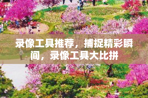 录像工具推荐，捕捉精彩瞬间，录像工具大比拼