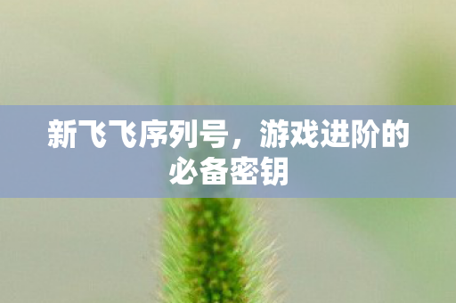 新飞飞序列号,游戏进阶的必备密钥 新飞飞序列号,游戏进阶的必备密钥
