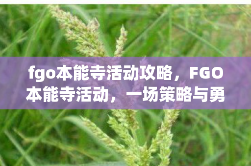 fgo本能寺活动攻略，FGO本能寺活动，一场策略与勇气的较量