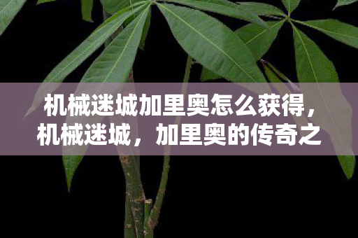 机械迷城加里奥怎么获得，机械迷城，加里奥的传奇之旅