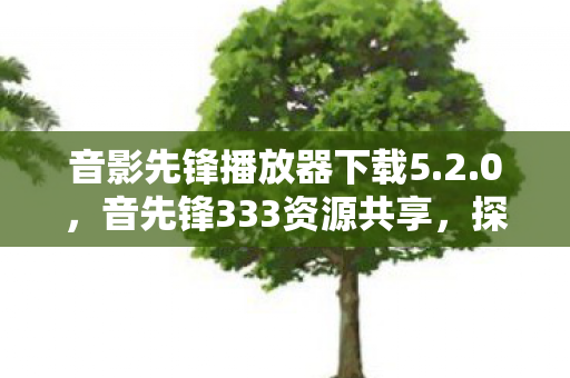 音影先锋播放器下载5.2.0，音先锋333资源共享，探索音乐世界的无限可能