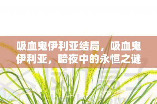 吸血鬼伊利亚结局，吸血鬼伊利亚，暗夜中的永恒之谜