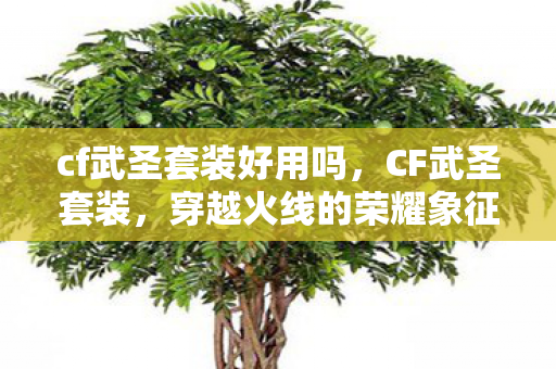 cf武圣套装好用吗,CF武圣套装,穿越火线的荣耀象征 cf武圣套装好用吗,CF武圣套装,穿越火线的荣耀象征