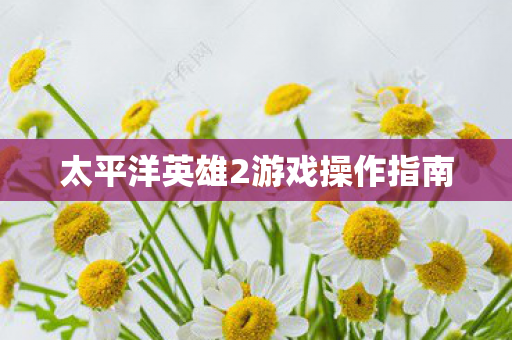 太平洋英雄2游戏操作指南 太平洋英雄2游戏操作指南