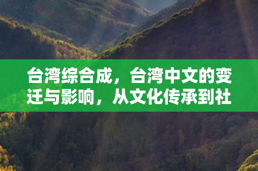 台湾综合成,台湾中文的变迁与影响,从文化传承到社会变迁 台湾综合成,台湾中文的变迁与影响,从文化传承到社会变迁