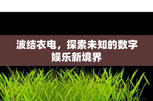 波结衣电，探索未知的数字娱乐新境界