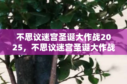 不思议迷宫圣诞大作战2025，不思议迷宫圣诞大作战，欢乐与惊喜的冬日盛宴