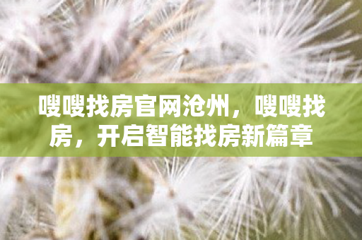 嗖嗖找房官网沧州，嗖嗖找房，开启智能找房新篇章