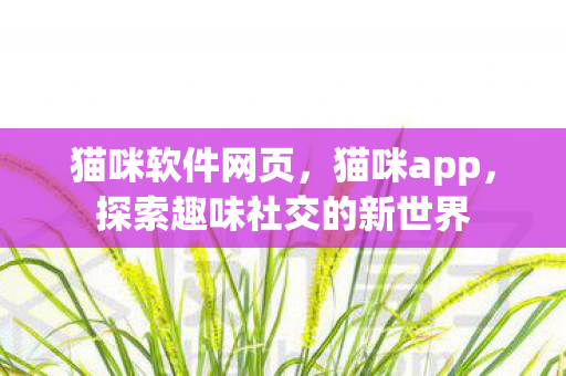 猫咪软件网页，猫咪app，探索趣味社交的新世界