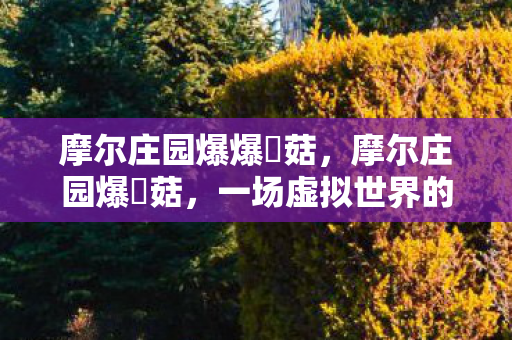 摩尔庄园爆爆囧菇,摩尔庄园爆囧菇,一场虚拟世界的奇妙冒险 摩尔庄园爆爆囧菇,摩尔庄园爆囧菇,一场虚拟世界的奇妙冒险