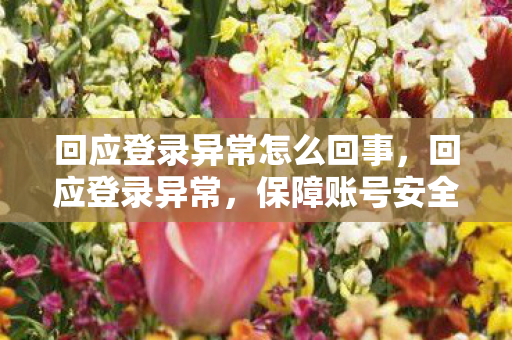 回应登录异常怎么回事，回应登录异常，保障账号安全，避免不必要的风险