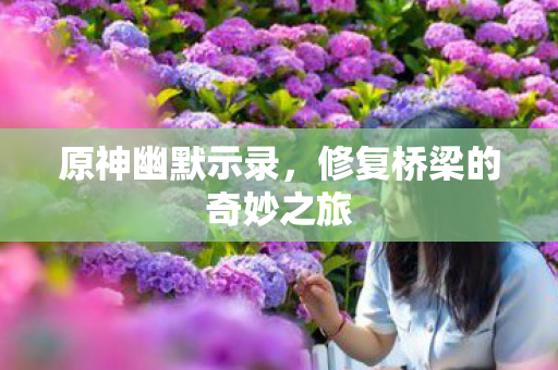 原神幽默示录,修复桥梁的奇妙之旅 原神幽默示录,修复桥梁的奇妙之旅