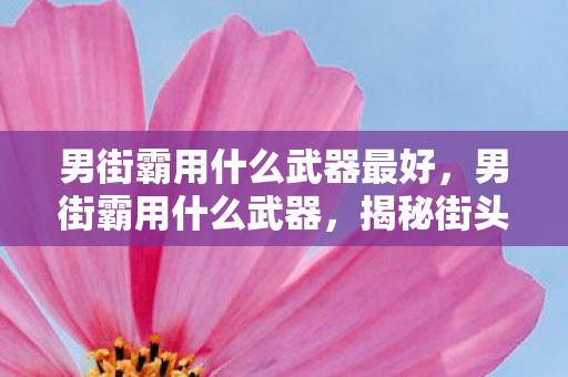 男街霸用什么武器最好,男街霸用什么武器,揭秘街头霸主的武器选择 男街霸用什么武器最好,男街霸用什么武器,揭秘街头霸主的武器选择