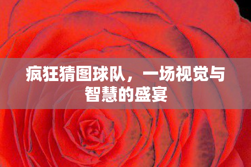 疯狂猜图球队，一场视觉与智慧的盛宴