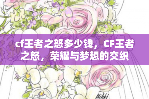 cf王者之怒多少钱，CF王者之怒，荣耀与梦想的交织