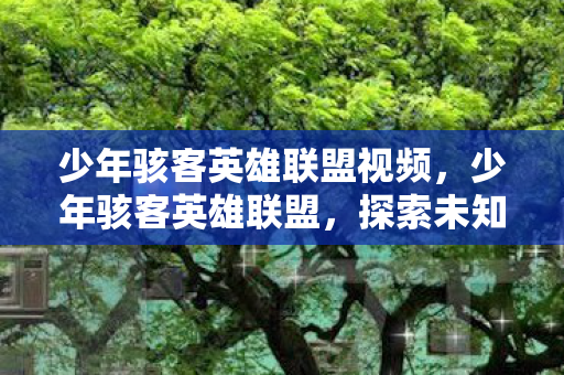 少年骇客英雄联盟视频,少年骇客英雄联盟,探索未知,挑战极限 少年骇客英雄联盟视频,少年骇客英雄联盟,探索未知,挑战极限