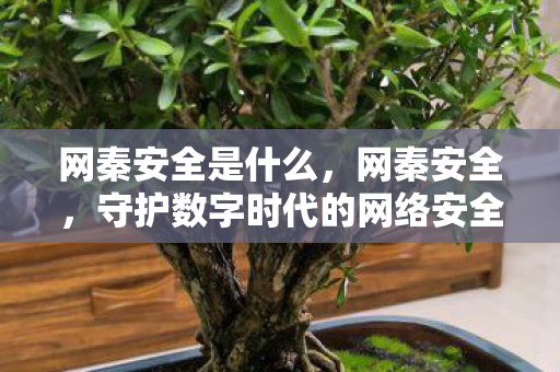 网秦安全是什么,网秦安全,守护数字时代的网络安全防线 网秦安全是什么,网秦安全,守护数字时代的网络安全防线