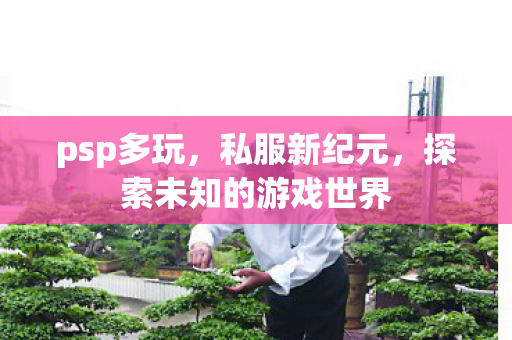 psp多玩，私服新纪元，探索未知的游戏世界