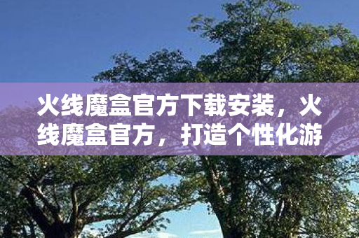 火线魔盒官方下载安装，火线魔盒官方，打造个性化游戏体验的必备神器
