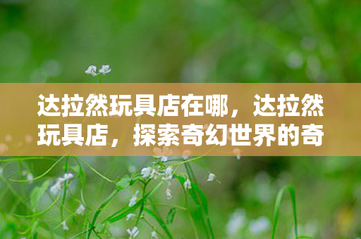 达拉然玩具店在哪,达拉然玩具店,探索奇幻世界的奇妙之旅 达拉然玩具店在哪,达拉然玩具店,探索奇幻世界的奇妙之旅