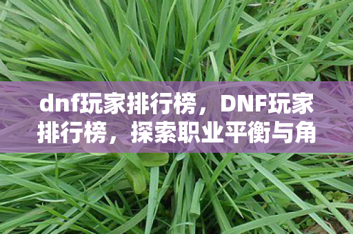 dnf玩家排行榜,DNF玩家排行榜,探索职业平衡与角色强度 dnf玩家排行榜,DNF玩家排行榜,探索职业平衡与角色强度