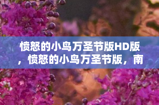 愤怒的小鸟万圣节版HD版，愤怒的小鸟万圣节版，南瓜灯下的奇妙冒险