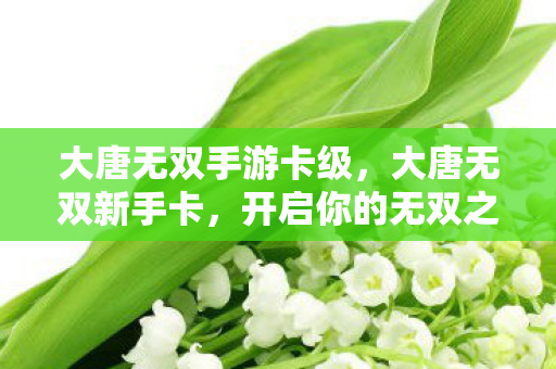 大唐无双手游卡级,大唐无双新手卡,开启你的无双之旅 大唐无双手游卡级,大唐无双新手卡,开启你的无双之旅