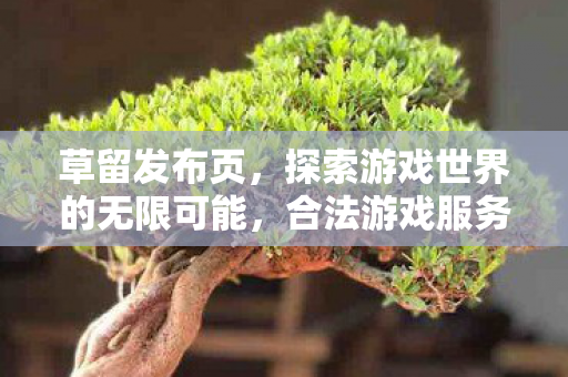 草留发布页，探索游戏世界的无限可能，合法游戏服务器体验全解析
