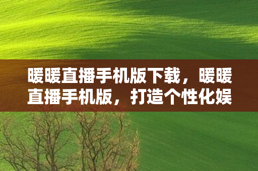 暖暖直播手机版下载,暖暖直播手机版,打造个性化娱乐新体验 暖暖直播手机版下载,暖暖直播手机版,打造个性化娱乐新体验