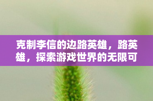 克制李信的边路英雄，路英雄，探索游戏世界的无限可能