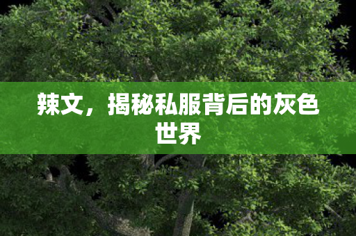 辣文,揭秘私服背后的灰色世界 辣文,揭秘私服背后的灰色世界