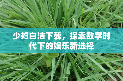 少妇白洁下载,探索数字时代下的娱乐新选择 少妇白洁下载,探索数字时代下的娱乐新选择