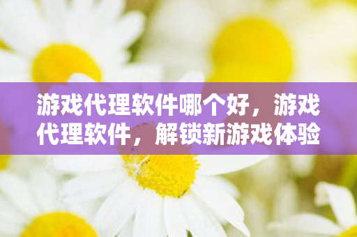 游戏代理软件哪个好,游戏代理软件,解锁新游戏体验,合法合规的代理之路 游戏代理软件哪个好,游戏代理软件,解锁新游戏体验,合法合规的代理之路