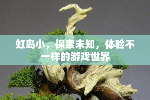 虹岛小,探索未知,体验不一样的游戏世界 虹岛小,探索未知,体验不一样的游戏世界