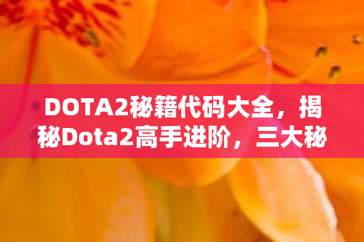 DOTA2秘籍代码大全，揭秘Dota2高手进阶，三大秘籍助你称霸战场
