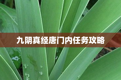 九阴真经唐门内任务攻略