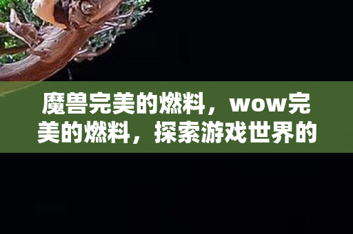 魔兽完美的燃料,wow完美的燃料,探索游戏世界的无限可能 魔兽完美的燃料,wow完美的燃料,探索游戏世界的无限可能