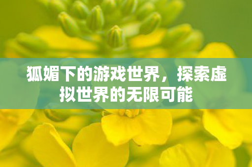 狐媚下的游戏世界,探索虚拟世界的无限可能 狐媚下的游戏世界,探索虚拟世界的无限可能