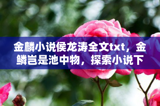 金麟小说侯龙涛全文txt,金鳞岂是池中物,探索小说下载的新世界 金麟小说侯龙涛全文txt,金鳞岂是池中物,探索小说下载的新世界