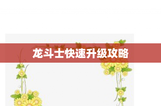 龙斗士快速升级攻略