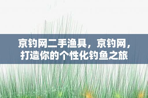 京钓网二手渔具，京钓网，打造你的个性化钓鱼之旅