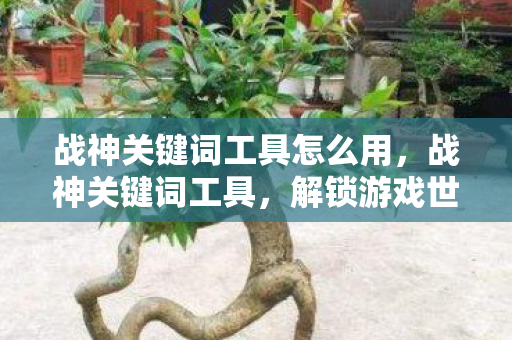 战神关键词工具怎么用，战神关键词工具，解锁游戏世界的无限可能