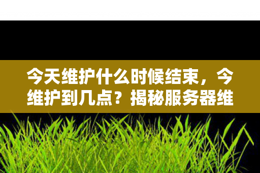 今天维护什么时候结束，今维护到几点？揭秘服务器维护的幕后故事