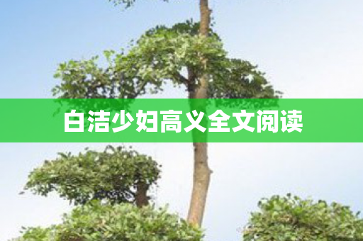 白洁少妇高义全文阅读 白洁少妇高义全文阅读